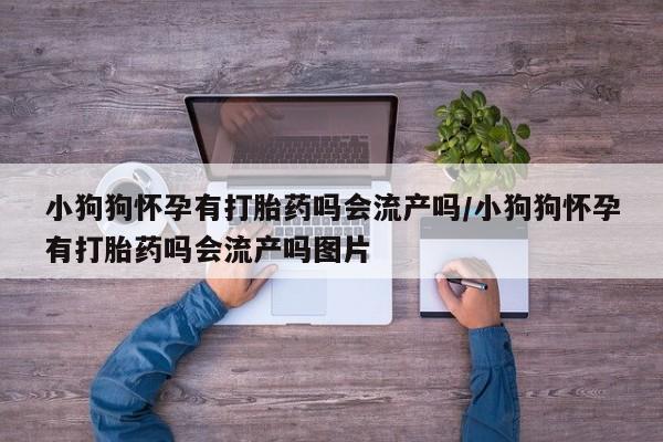 堕胎药购买微信小狗狗怀孕有打胎药吗会流产吗/小狗狗怀孕有打胎药吗会流产吗图片