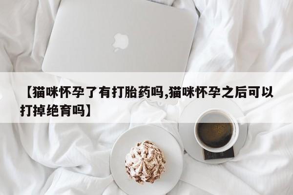 堕胎药购买微信【猫咪怀孕了有打胎药吗,猫咪怀孕之后可以打掉绝育吗】