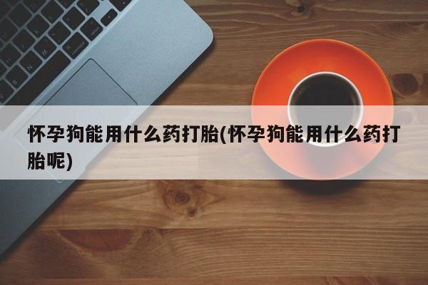 堕胎药购买微信怀孕狗能用什么药打胎(怀孕狗能用什么药打胎呢)
